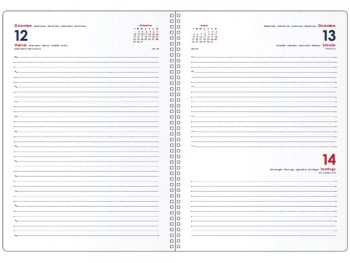 AGENDA SYNCRO DÍA PÁGINA