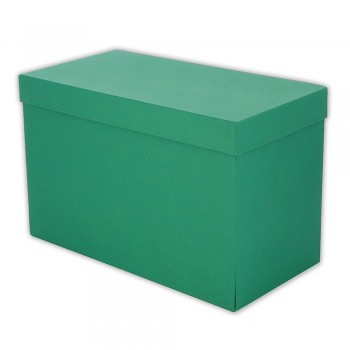 CAJA DE TRANSFERENCIA CARTON FORRADA EN GELTEX FOLIO ELBA