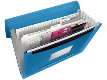 CARPETA ORGANIZADORA DE POLIPROPILENO COLORES SURTIDOS ACORDEON ESSELTE