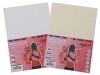 PAPEL VERJURADO A4 100GR BLANCO 100 HOJAS