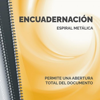 ENCUADERNADORA DE ESPIRAL FELLOWES METAL 100