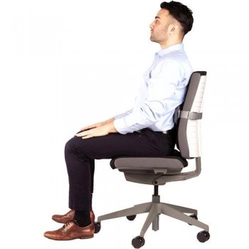SOPORTE LUMBAR FELLOWES I-SPIRE