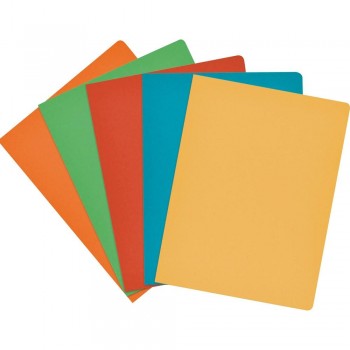 SUBCARPETA DE CARTULINA DE COLORES INTENSOS 240 GR