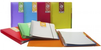 CARPETA DE FUNDAS EXTRAIBLES PLASTICO RIGIDO TRANSLUCIDO IN&OUT