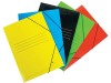 CARPETA DE CARTON PLASTIFICADO FOLIO GOMAS Y SOLAPAS